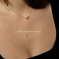 Curious Curator Capricorn 14K Gold Vermeil Necklace
