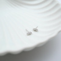 Curious Curator Ellie 925 Sterling Silver Stud Earrings