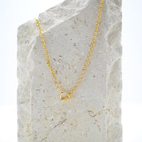 Curious Curator Charlie 14k Gold Vermeil Necklace