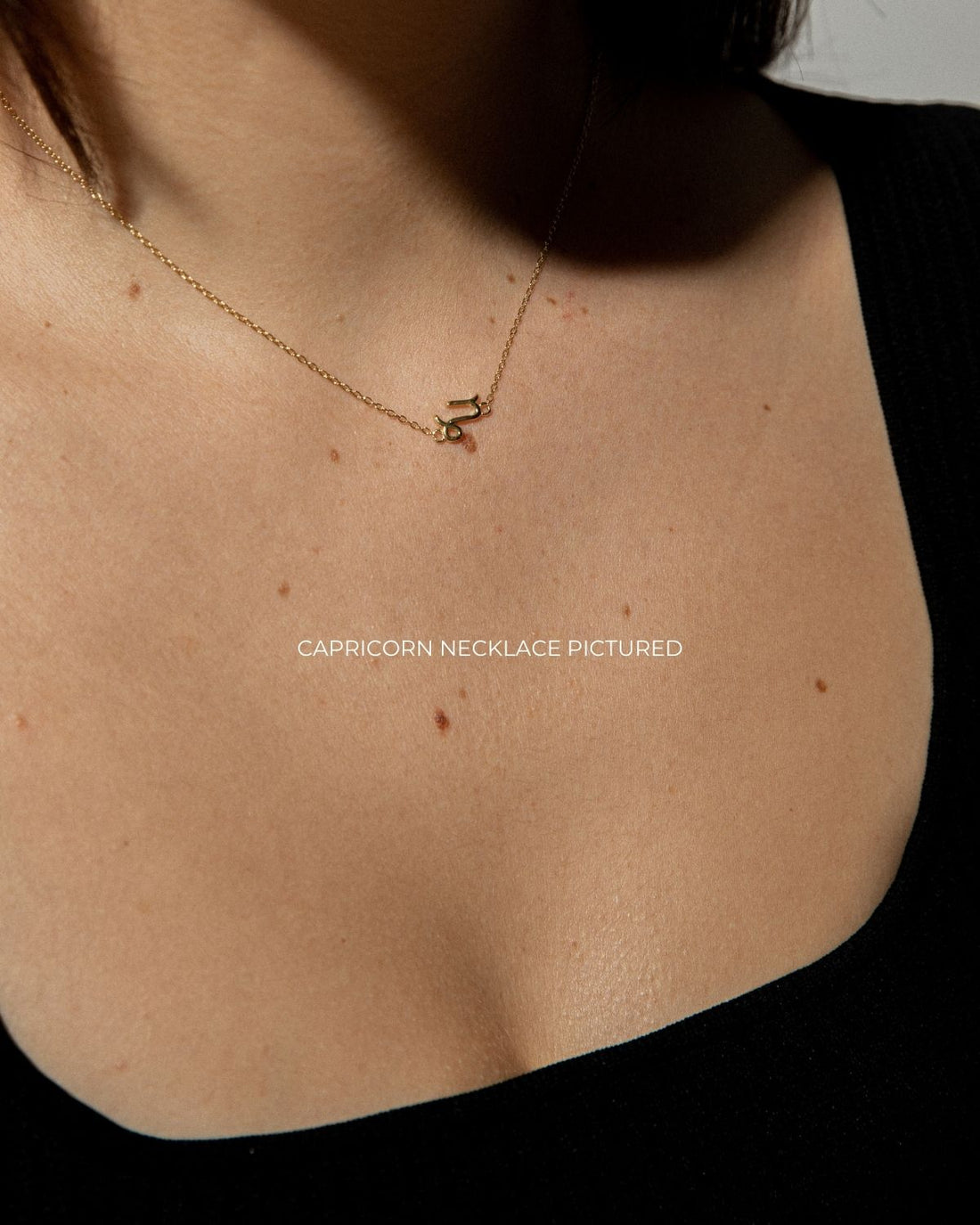 Curious Curator Capricorn 14K Gold Vermeil Necklace